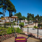 2022-12-15-09.17.42-1